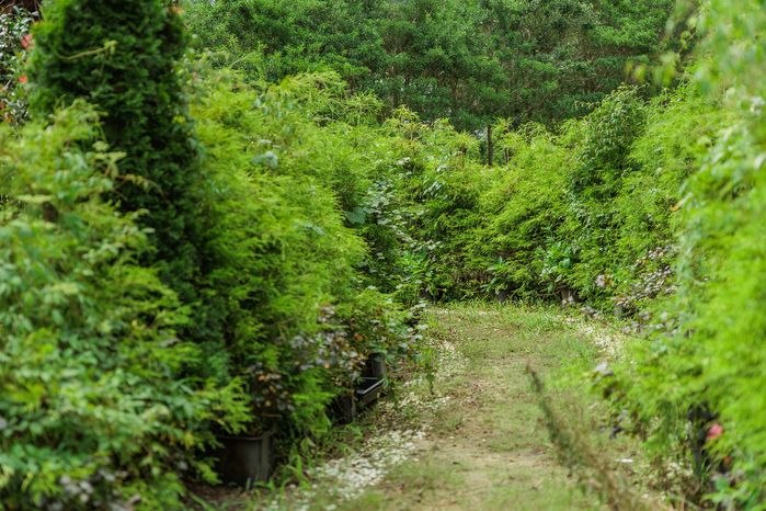 살림정원살이 림스2호