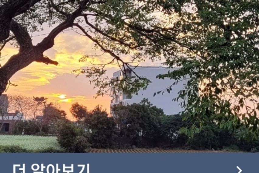 제주 서쪽한경돌집독채