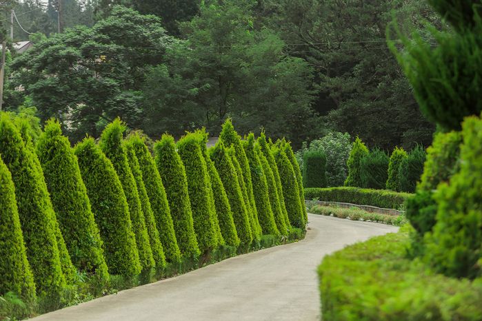 살림정원살이 림스3호