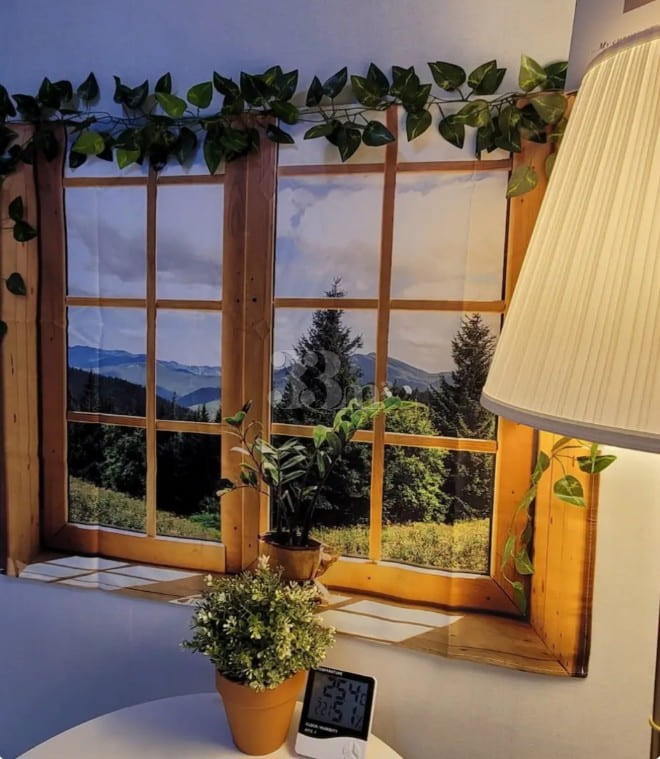 Clean, comfortable, and peaceful. 0th image