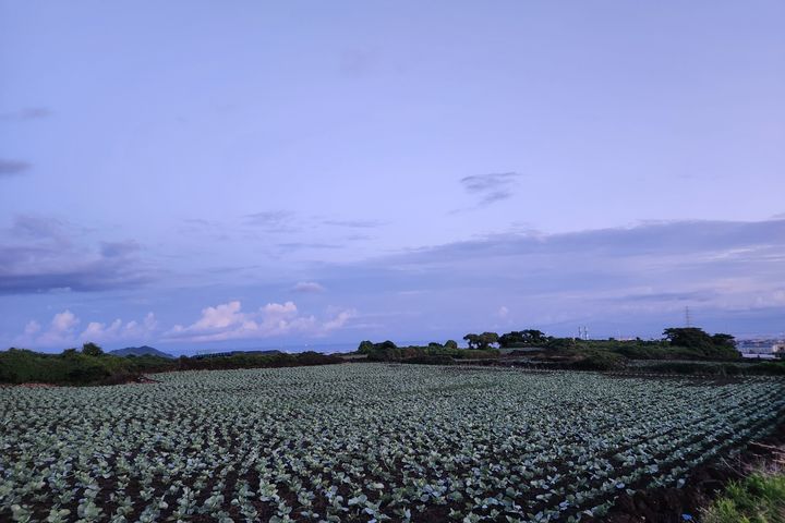 제주 하우스이데아 17번째 이미지
