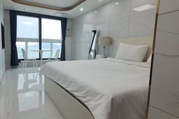 오션 라이프의 시작~