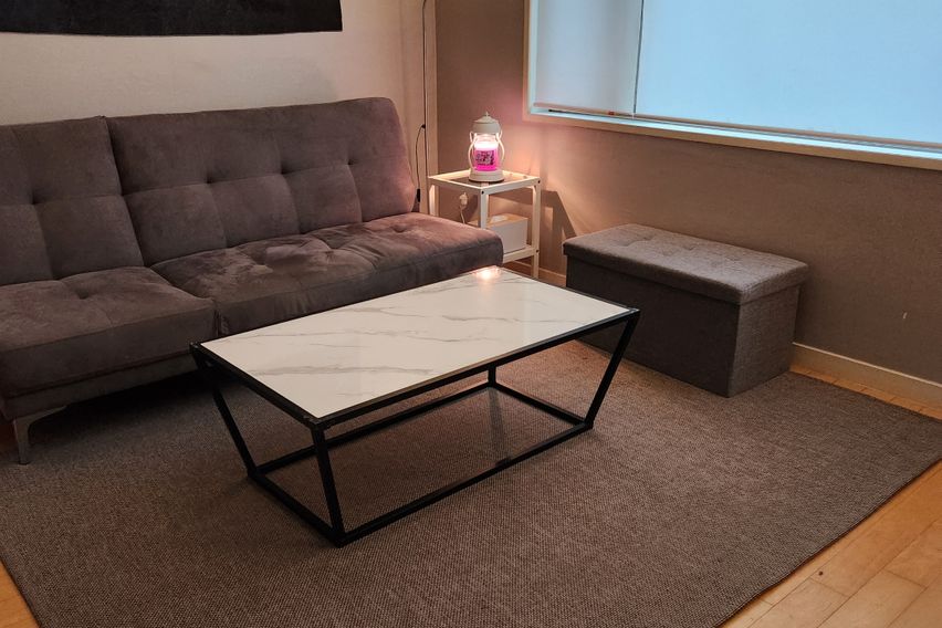 오리역세종,4인,반려O