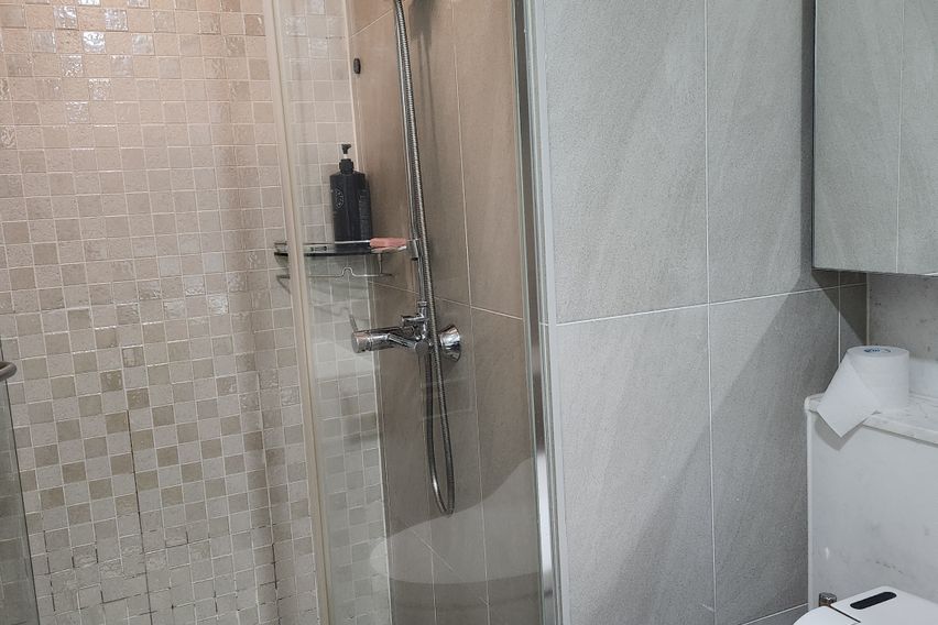 ✨️오픈할인관람차뷰✨️