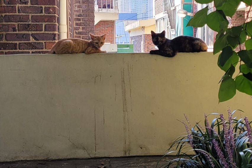 주안 205호 14번째 이미지