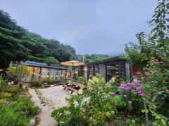 A room with a pretty garden in the forest. 1th image