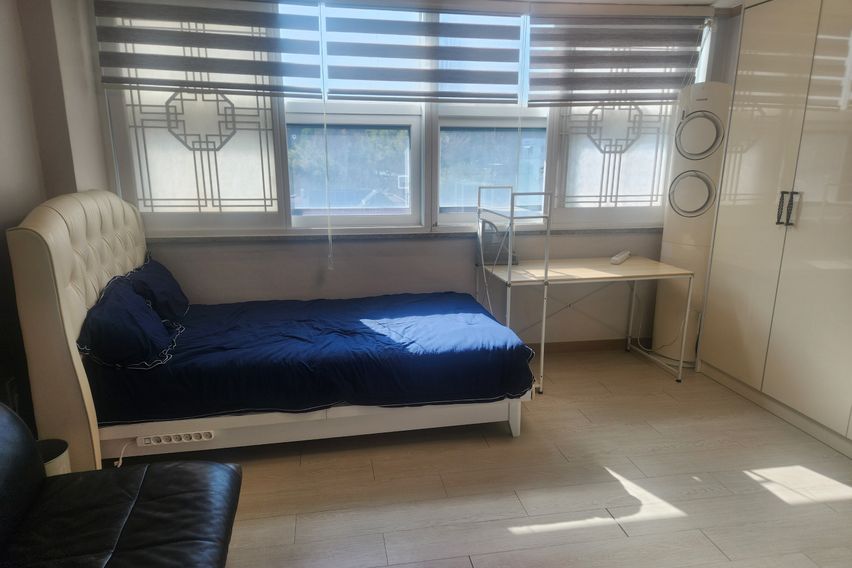 애견가능노은역수퍼풀옵션