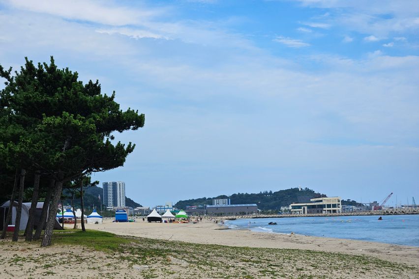 바다,해변,항공,요트