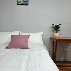 A cozy room filled with sunlight Unit Image