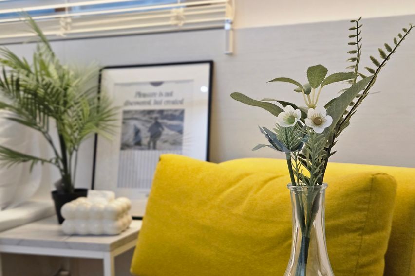 스테이인 202 0번째 이미지