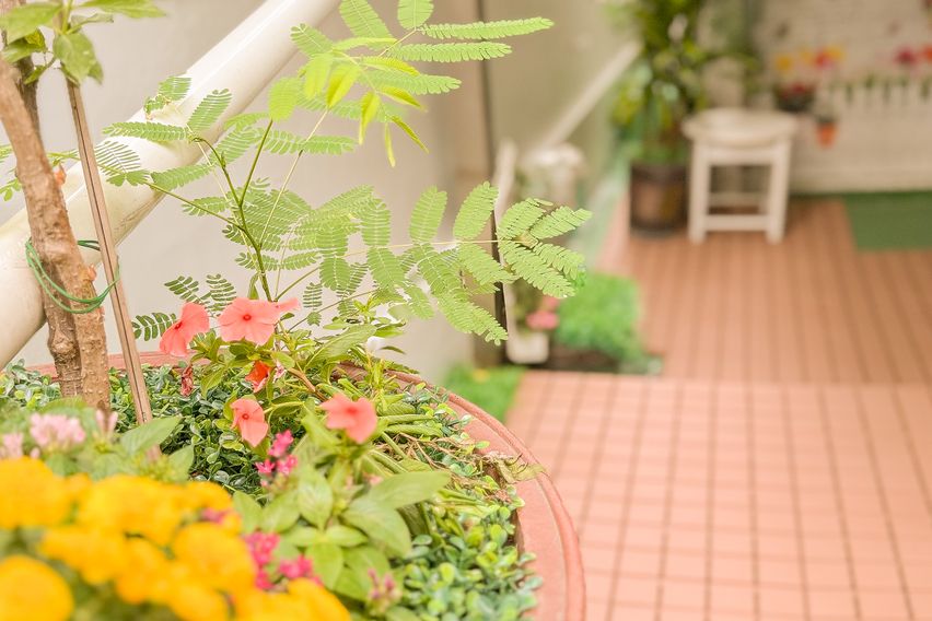 ❤️광진/건대/편안한집 19번째 이미지