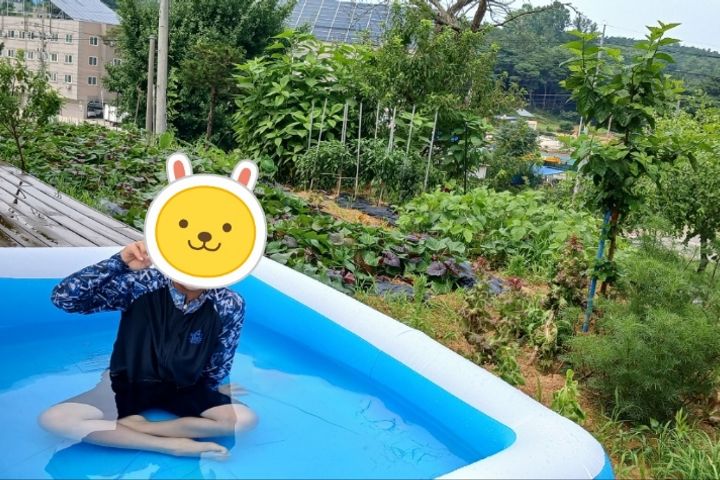 가성비독채/전원주택텃밭 8번째 이미지