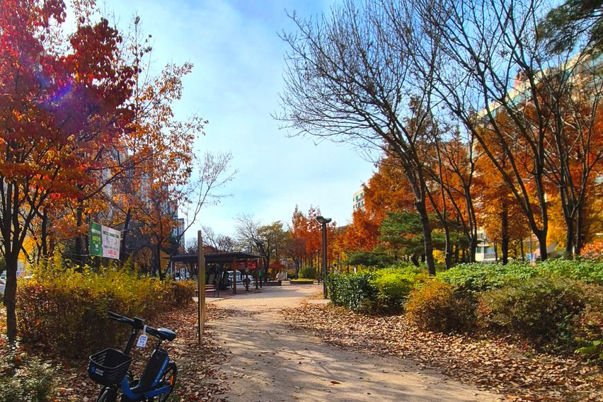 🔶️풀옵션 분리형 원룸🔶️ 17번째 이미지