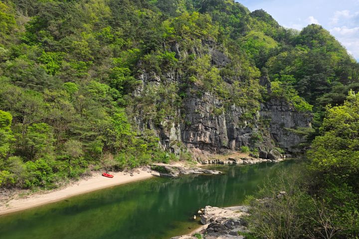 덕산봉 일월산 명가 숲 19번째 이미지