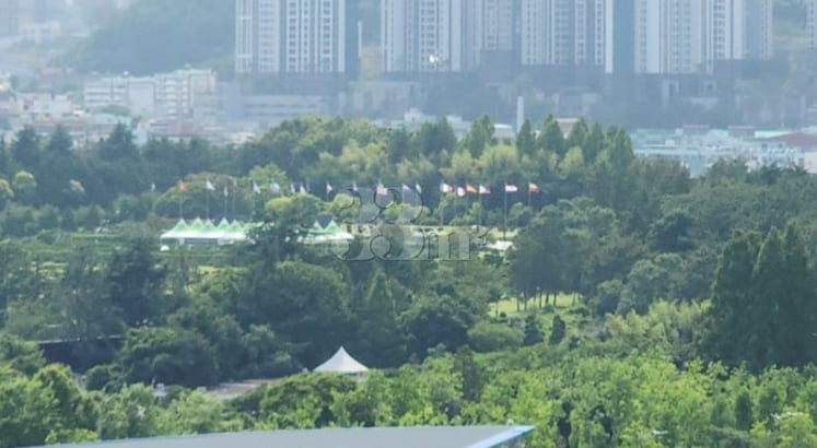 광안리+부경대#반려동물 19번째 이미지