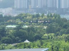 광안리+부경대#반려동물 19번째 이미지