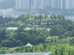광안리+부경대#반려동물 19번째 이미지