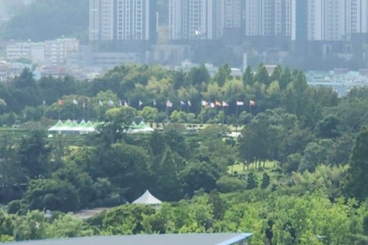 광안리+부경대#반려동물 19번째 이미지