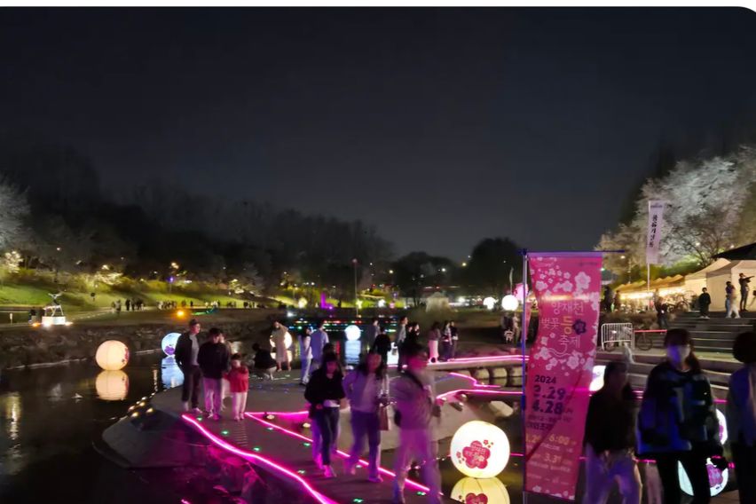 벚꽃양재카페공원 바로앞 1번째 이미지