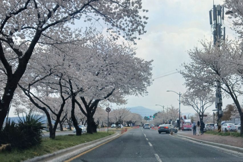 창뷰3/황리단길5분 2번째 이미지