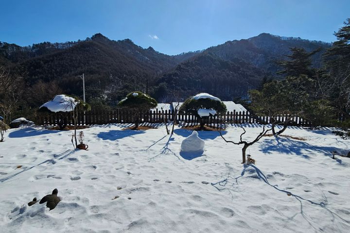 원주  독채 뷰 맛집🏠 14번째 이미지
