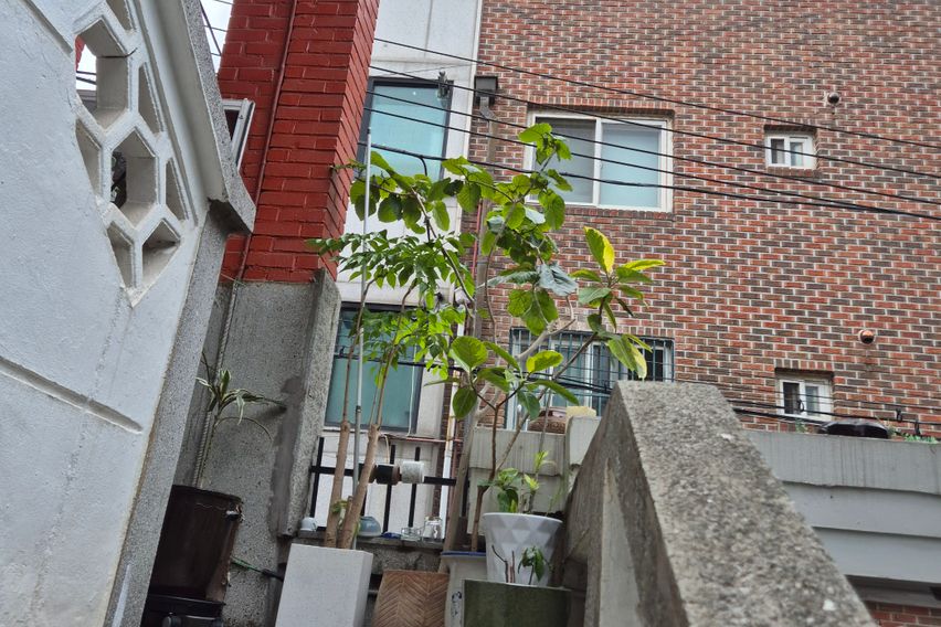 역3분 1.5룸 정원 11번째 이미지