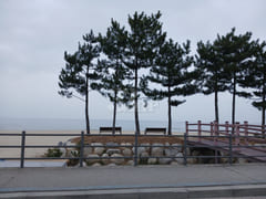 Unit 105, Donghwa Villa 17th image
