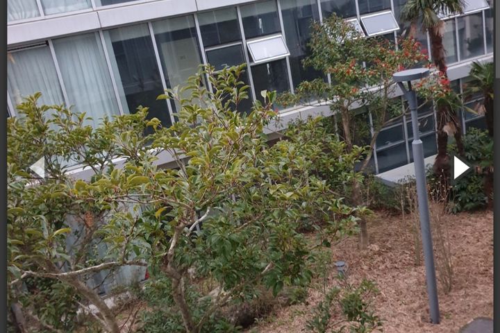 탁트윈 통창유리 C2 1번째 이미지