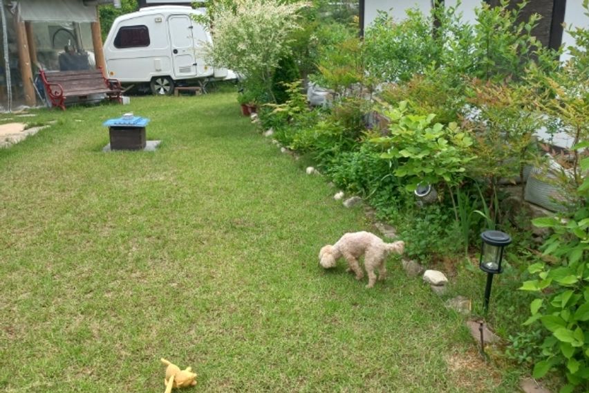 잔디마당.독채. 바베큐