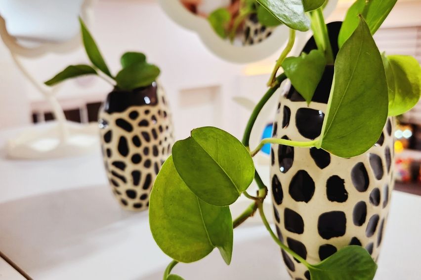 대흥동번화가 복층2룸