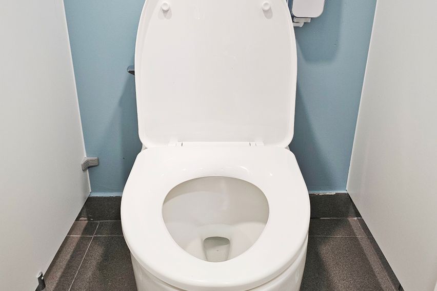 엔젤이레 (남) 9번째 이미지