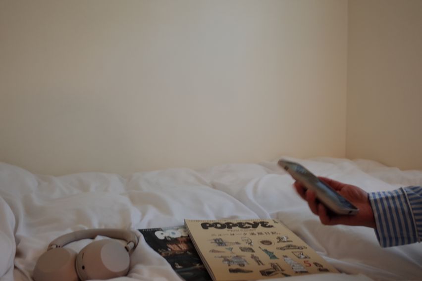 귀여운 투룸🫧반려동물 12번째 이미지