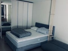 신사 한강 가로수강남 7번째 이미지