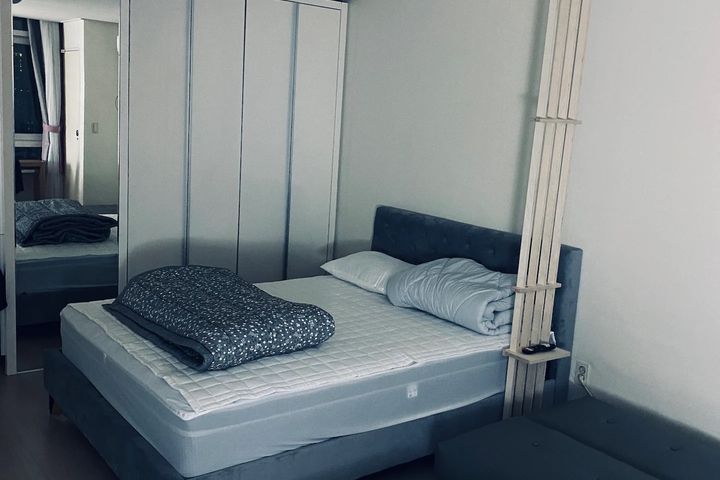 신사 한강 가로수강남 7번째 이미지