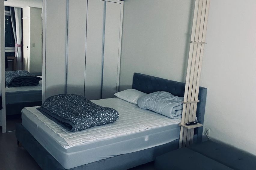 신사 한강 가로수강남 7번째 이미지