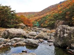 Juyang Shelter Cypress House 17th image