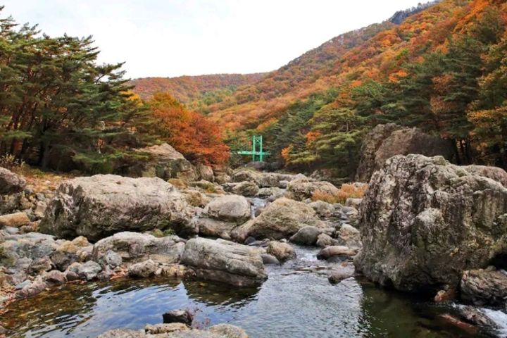 Juyang Shelter Cypress House 17th image
