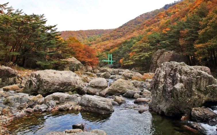 주양쉼터 편백나무집