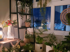 ๐ก Fully Furnished) Super High-Rise Apartment 12th image