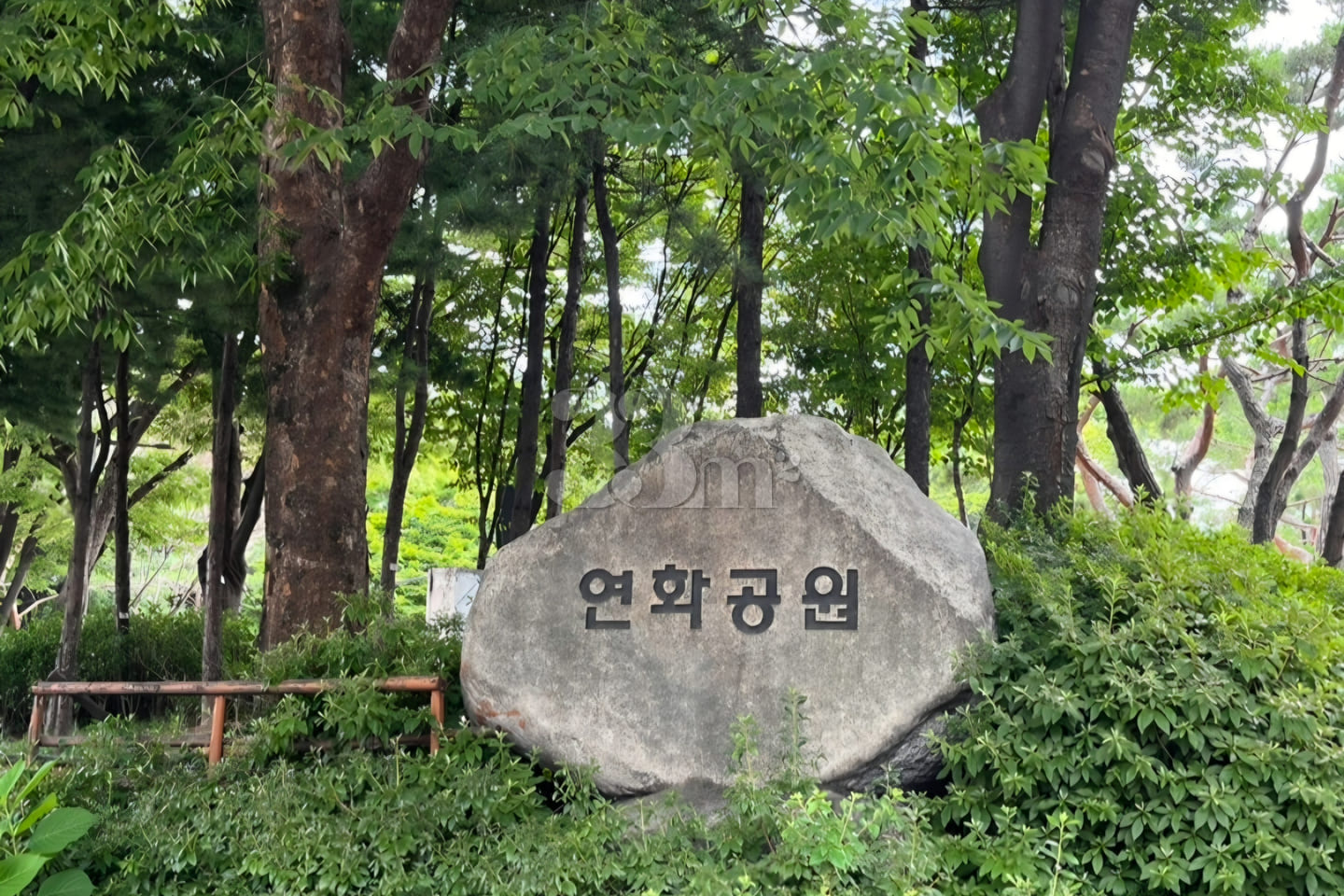Studio apartment in Munjeong-dong, Songpa-gu 4th image