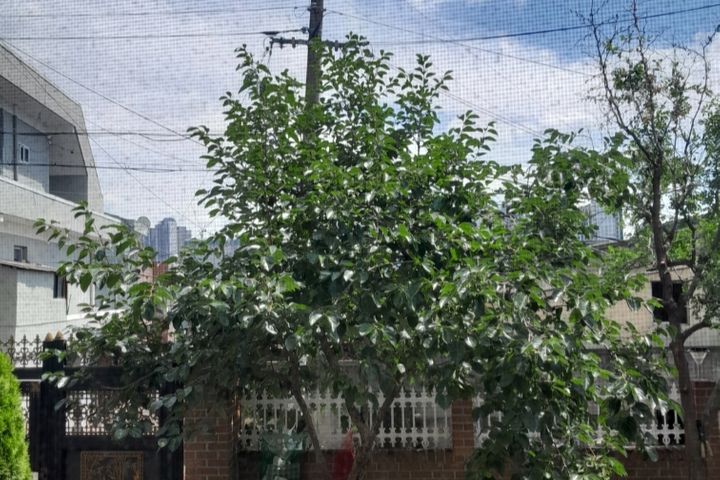 테라스가이쁜2층주택 11번째 이미지