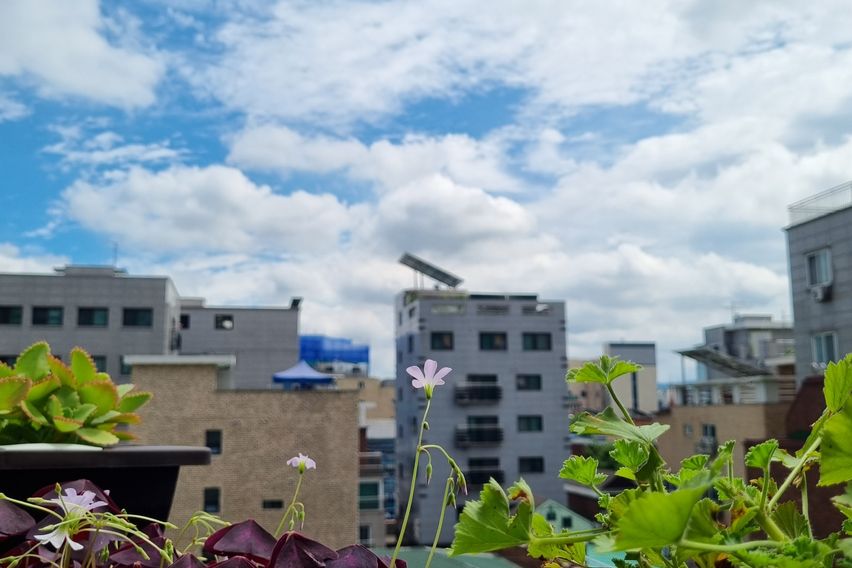❤️암사역 한강 투베드 15번째 이미지