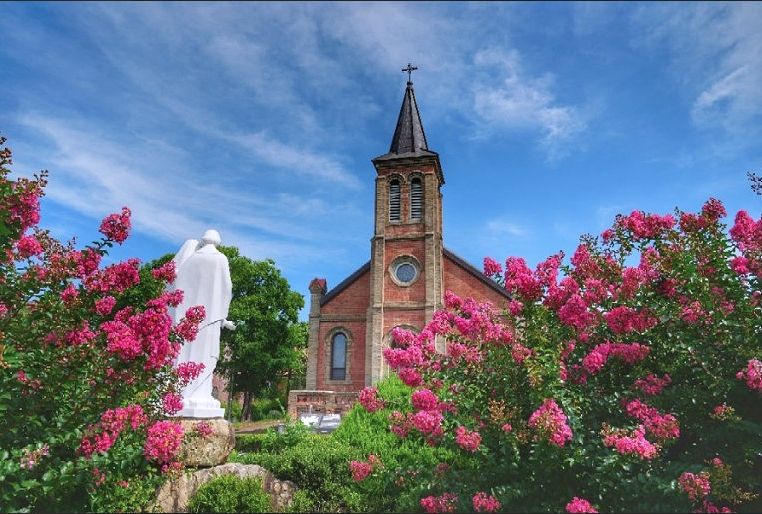마당있는  감성주택대구 16번째 이미지