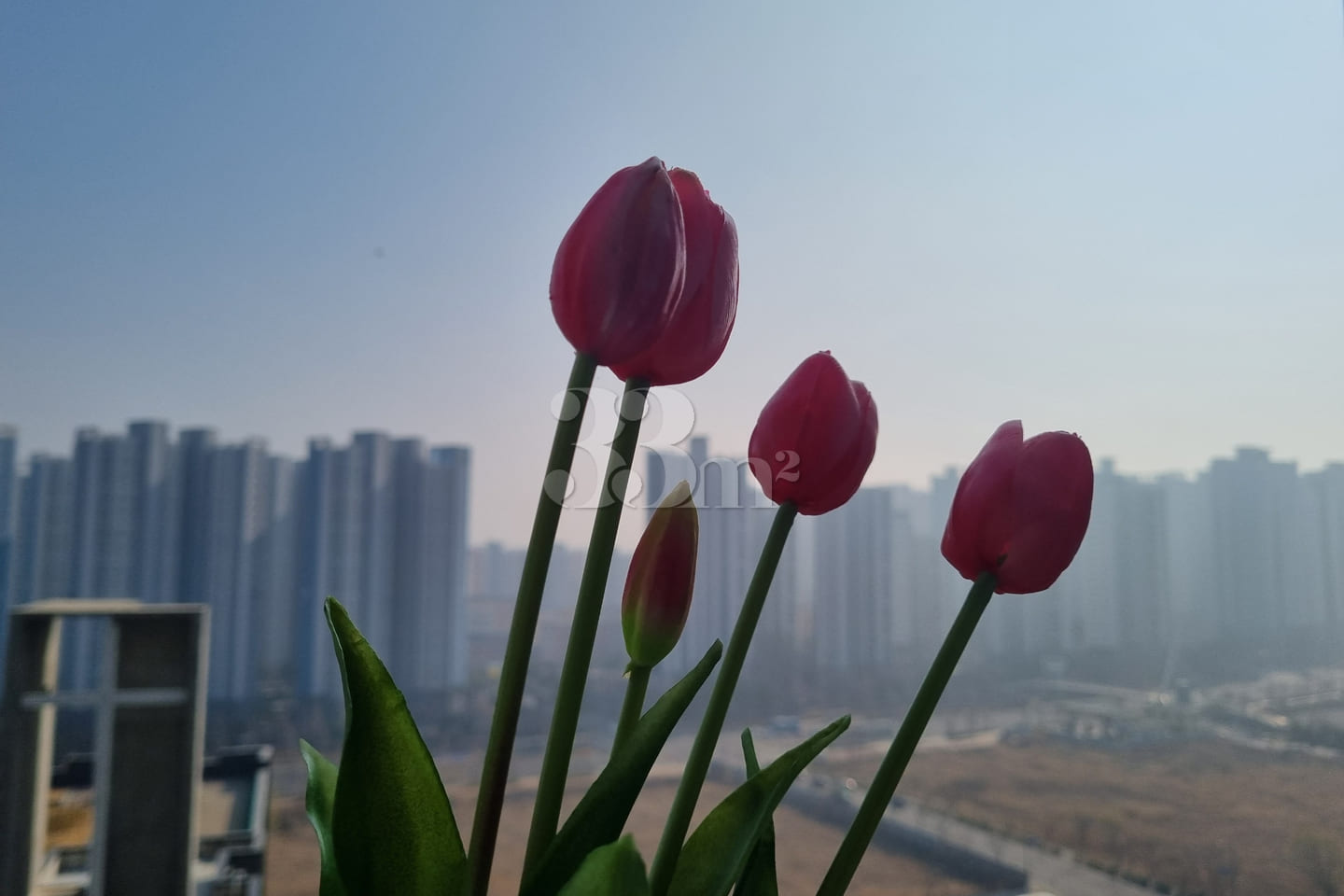 Best-value accommodation in Cheongna 13th image