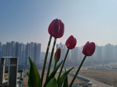 Best-value accommodation in Cheongna 13th image