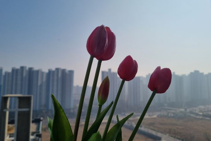 청라 가성비 1등 숙소 13번째 이미지