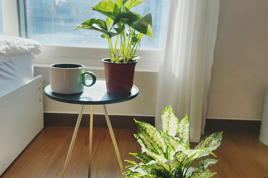 ❤상왕십리2분남향전망굿