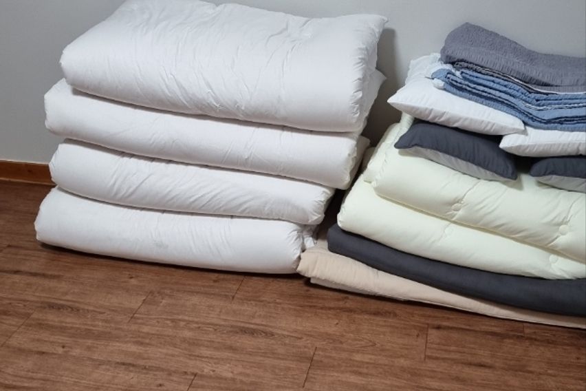 단독 사용 하루한팀