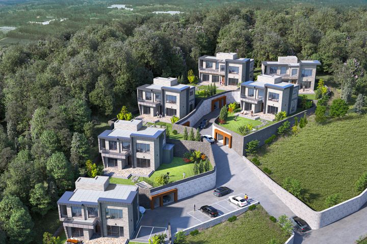 View House (Monthly Rental) 19th image
