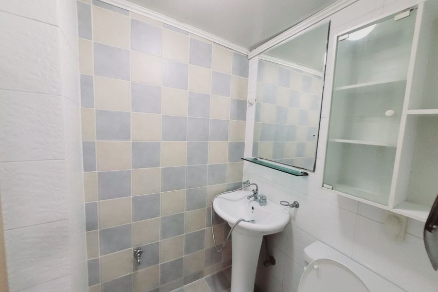 민들레 6번째 이미지